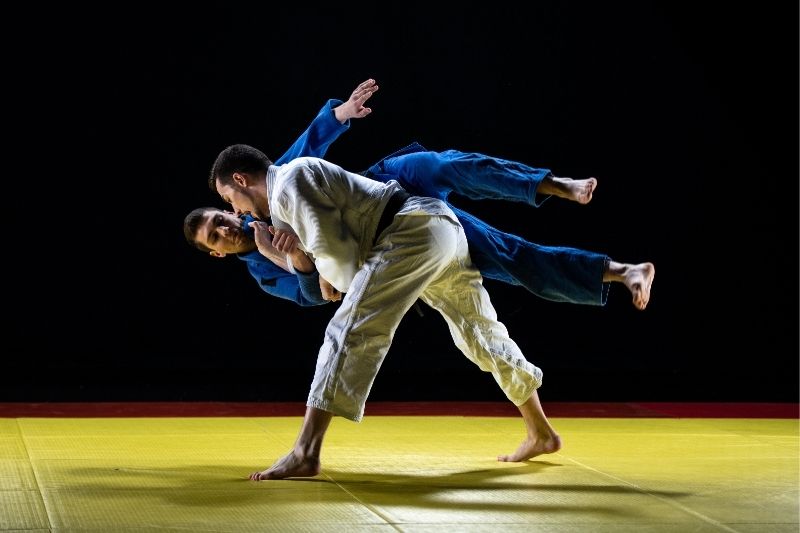 Judo throw